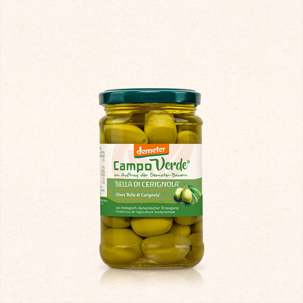 ‚Bella di Cerignola‘ Oliven