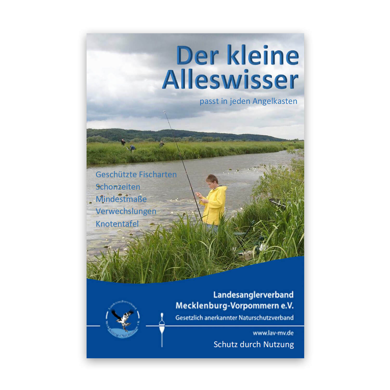 „Der kleine Alleswisser“