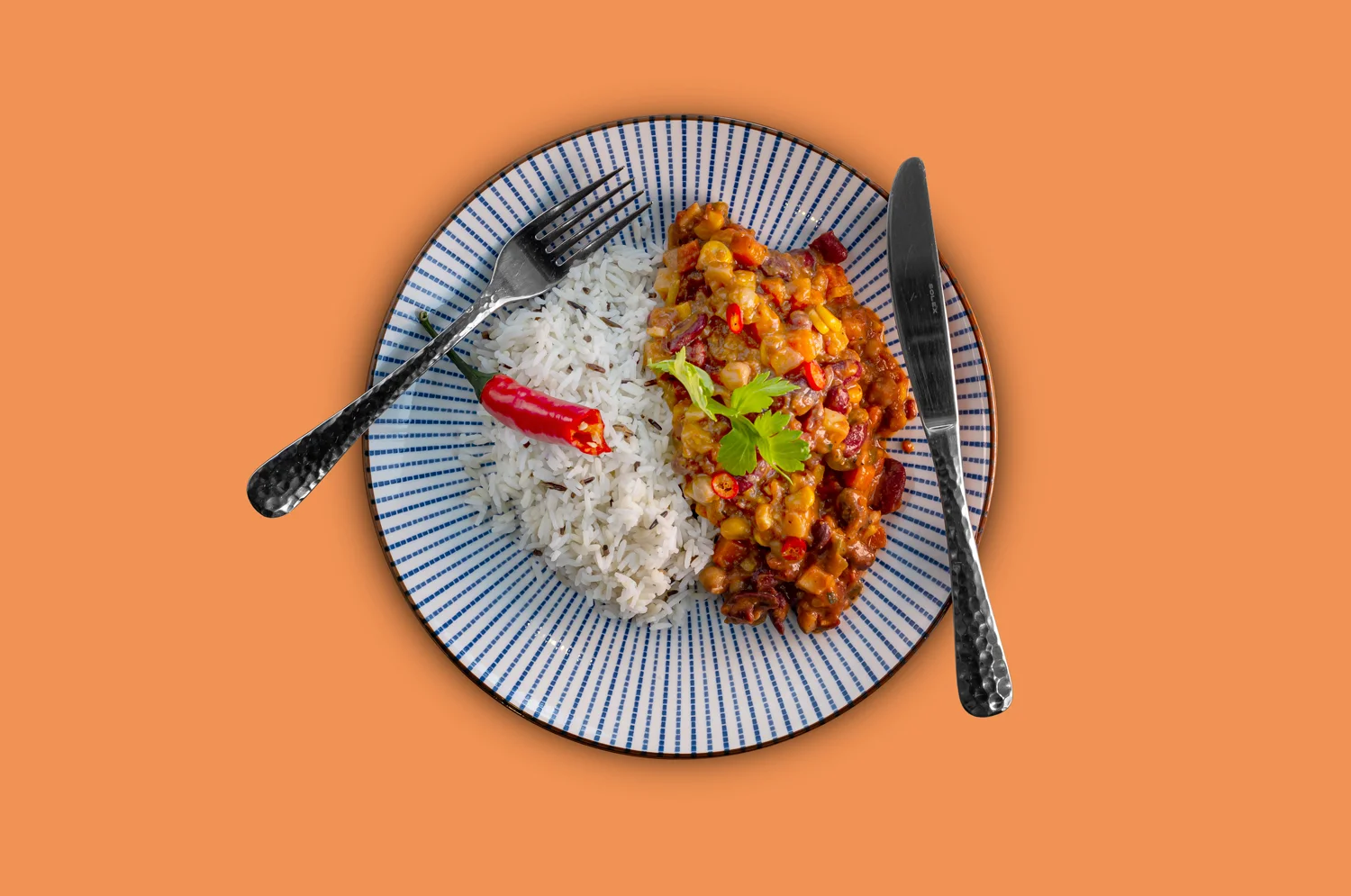 Chili sin Carne mit Reis – Bild 2