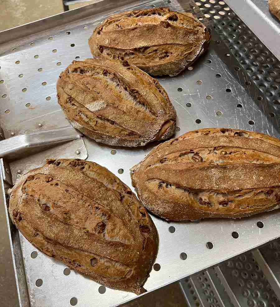 Walnuss Brot “Walnuss-Knacker” – Bild 3